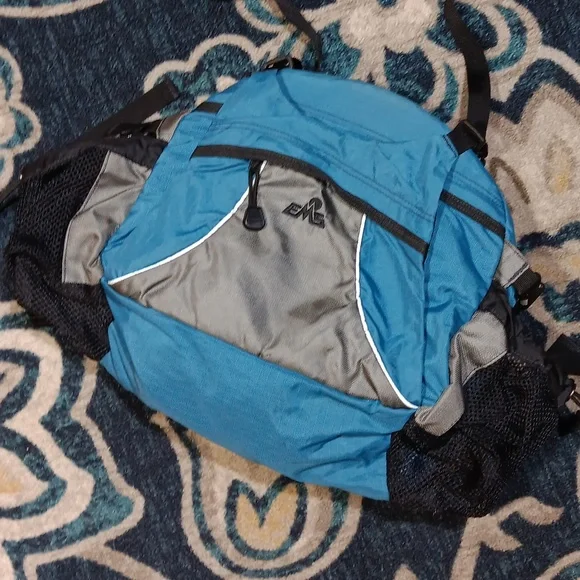 Vintage EMS blue hiking day pack waistpack belt bag